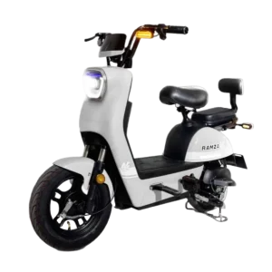 Ramza-Z3-Paddler-Electric-Scooter-32-595x595